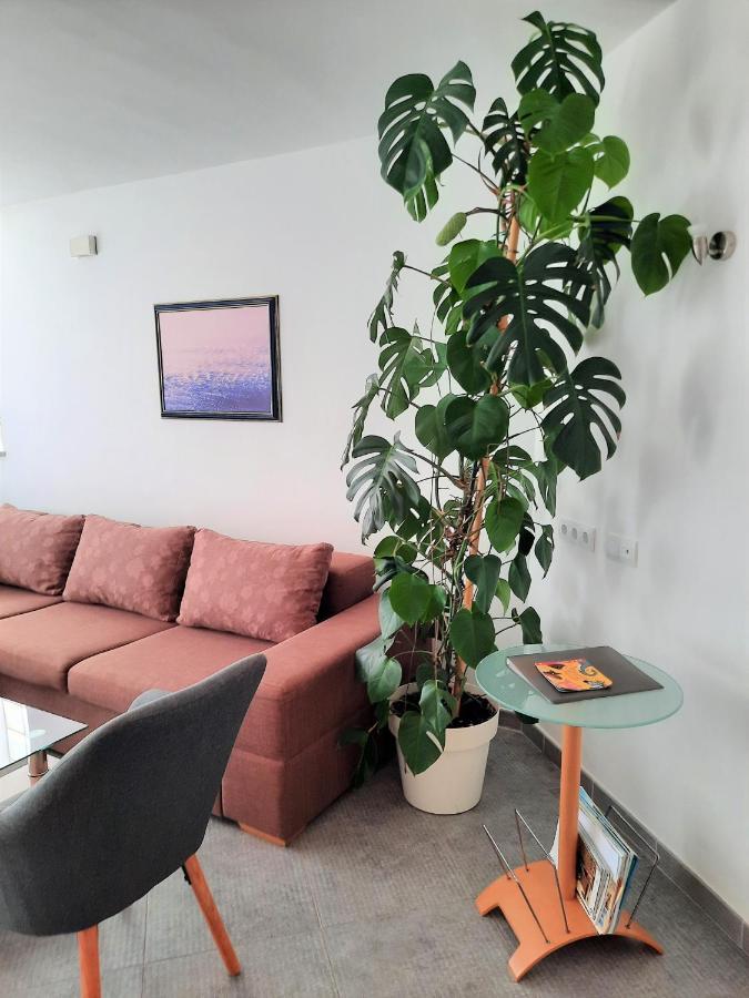 Apartment Mato Barbariga Buitenkant foto